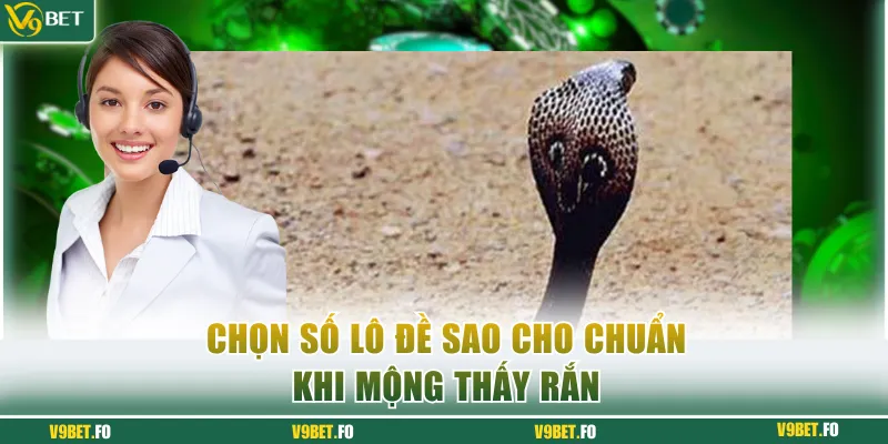 Chọn số lô đề sao cho chuẩn khi mộng thấy rắn