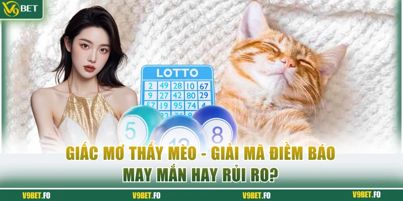 mo thay meo Mơ thấy mèo