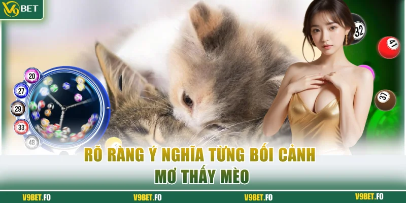 ro rang y nghia tung boi canh mo thay meo Rõ ràng ý nghĩa từng bối cảnh mơ thấy mèo