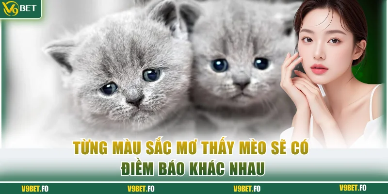 tung mau sac mo thay meo se co diem bao khac nhau Từng màu sắc mơ thấy mèo sẽ có điềm báo khác nhau